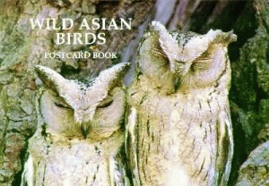 WILD ASIAN BIRDS POSTCARD BOOK