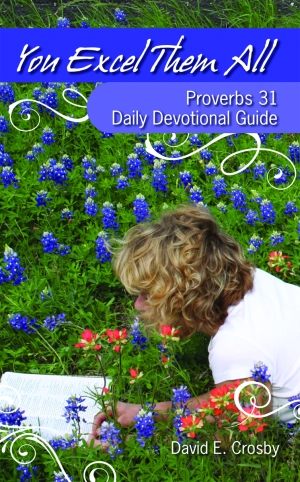YOU EXCEL THEM ALL  Proverbs 31 Daily Devotional Guide  epub Edition